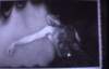 1102-A a2_small.jpg