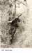 1118-B b2_small.jpg