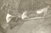 1110 photo10_small.jpg