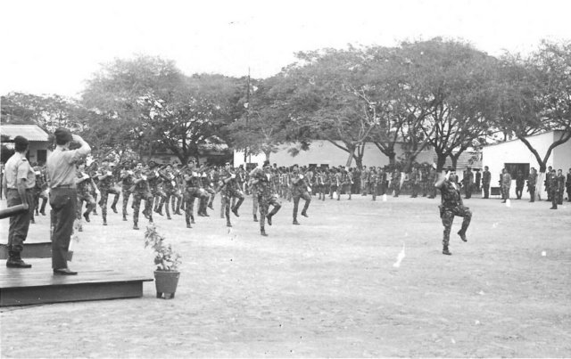 luandacica2042ccdesfilanodiadoscomandos290774.jpg